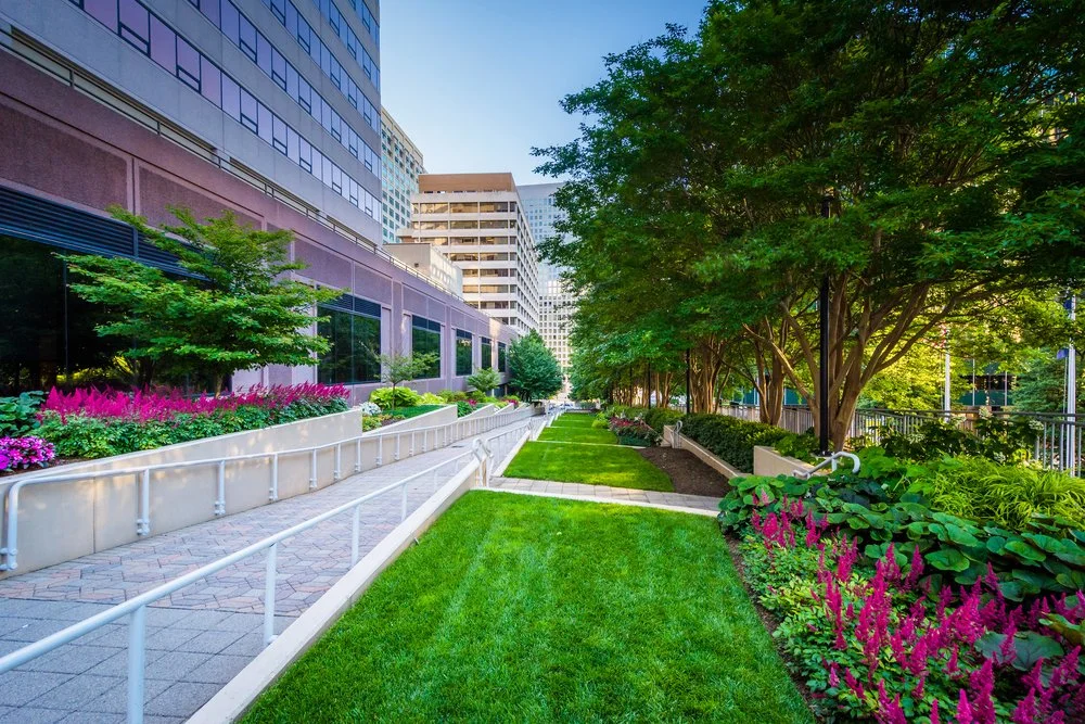commercial lawn care