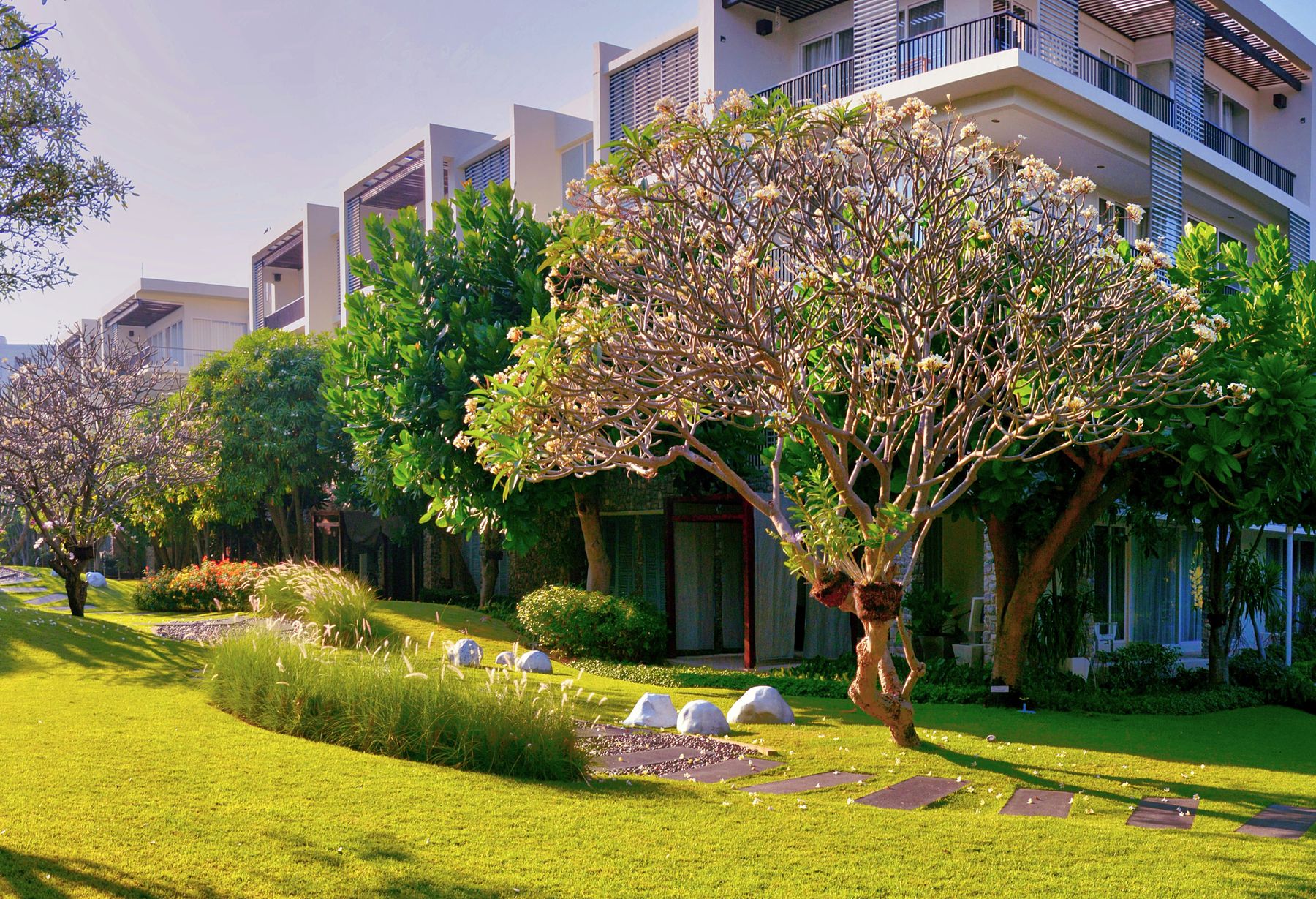 Multi-family community courtyard with lush striped turf and shrubs