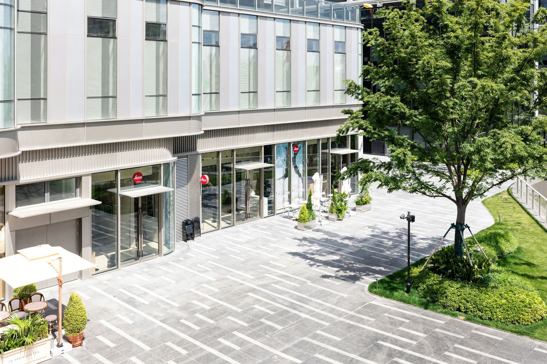 Healthy commercial lawn and shrubs