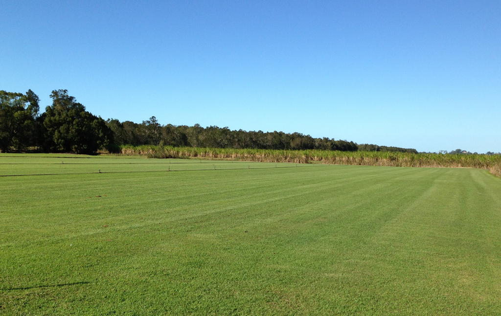 Beyond Green: Understanding the Science of Coastal Mississippi Lawn Care