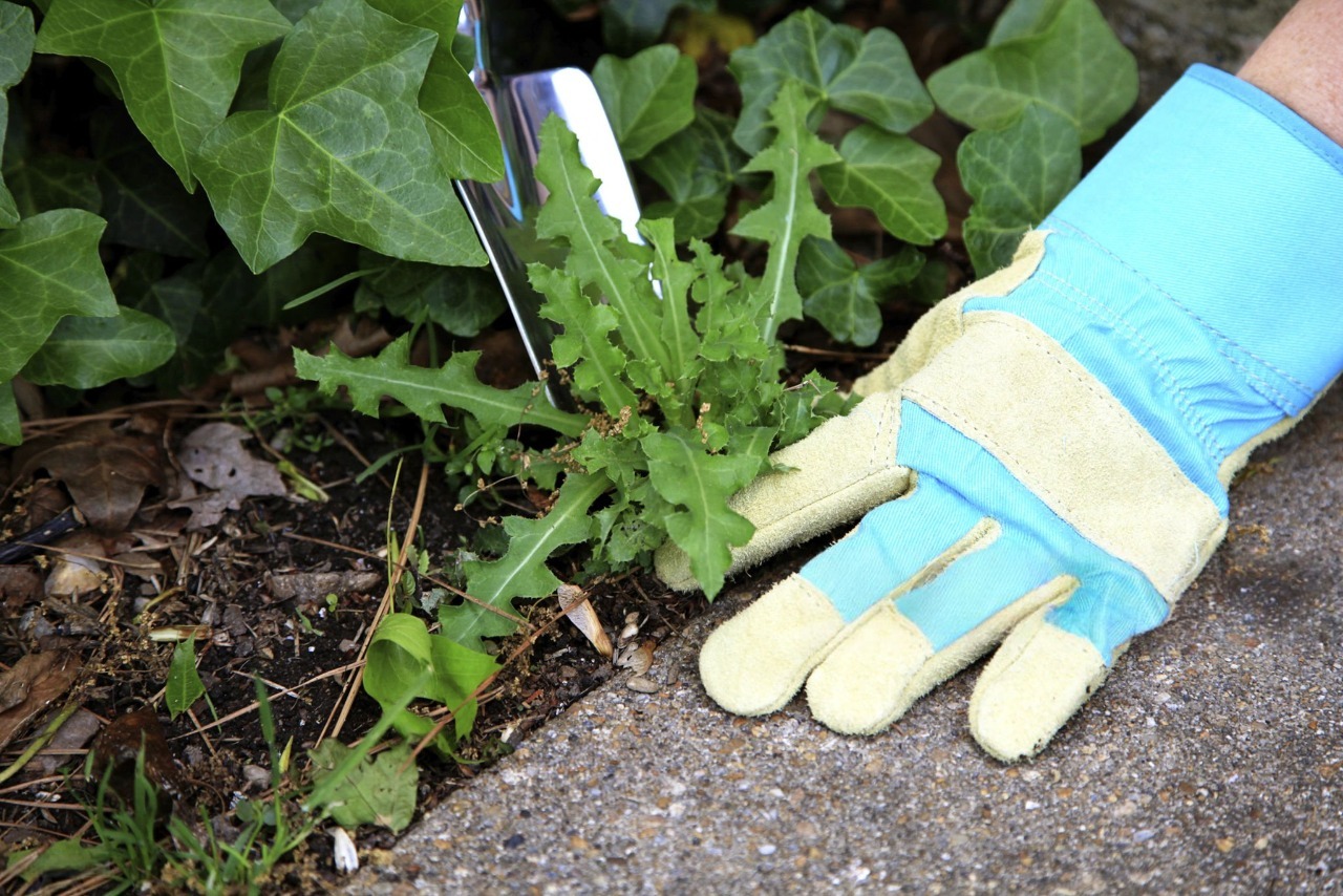 Professional applying pre-emergent weed control on coastal Mississippi lawn